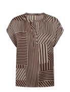 Sc-Catarina Brown Soyaconcept