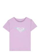 Lilyregular Night Pink Roxy