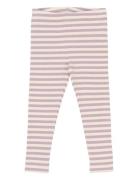 Tnstfro Rib Leggings Purple The New