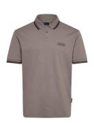 Polo Shirt Brown Armani Exchange