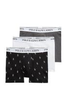 Bci Cotton/Elastane-3Pk-Bxb Black Polo Ralph Lauren