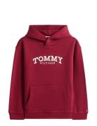 Monotype Print Hoodie Burgundy Tommy Hilfiger