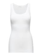 Massachusetts White American Vintage