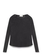 Sonoma Grey American Vintage