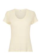 Jacksonville Yellow American Vintage