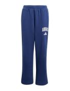 J Clgt Fl Pnt Blue Adidas Sportswear