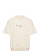 Sdtarek Ss Cream Solid