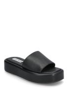 Beachy Slides Black Steve Madden