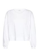 Sonoma White American Vintage