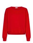 Sonoma Red American Vintage