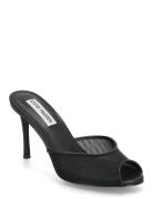 Rollout-M Mule Black Steve Madden