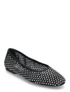 Auden Black Steve Madden