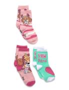 Socks Patterned Paw Patrol