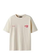 Nlnbase Ss L Top Cream LMTD