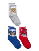Socks Patterned Paw Patrol