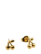 Amour - Cherry Stud Earrings Stainless Steel Gold Timi Of Sweden
