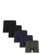 Claudio 5-Pack Tights Claudio