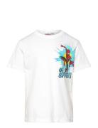 Tshirt White Marvel