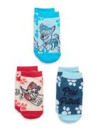 Socks Blue Paw Patrol