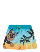 Swimwear Patterned Paw Patrol