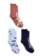 Socks Patterned Bluey