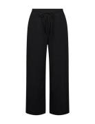 Sc-Cissie Black Soyaconcept