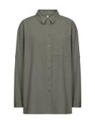 Sc-Cissie Grey Soyaconcept