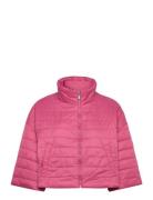 Jacket Pink United Colors Of Benetton