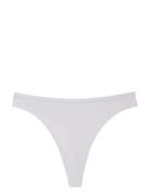 Thong Purple Calvin Klein