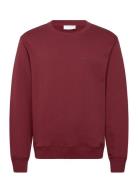 Emerson Burgundy Tiger Of Sweden