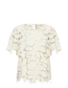 Sc-Cassandra Cream Soyaconcept