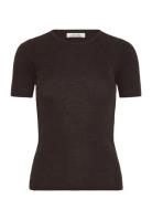 Chico Crewneck Brown Nué Notes