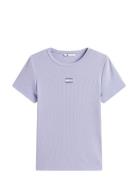 Tjw Slim Badge Rib Tee Purple Tommy Jeans