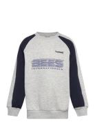 Hmljr Over D Iconic Crew Bees Grey Hummel