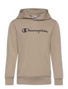 Hooded Sweatshirt Brown Champion