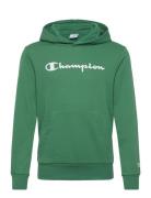 Hooded Sweatshirt Green Champion