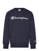 Crewneck Sweatshirt Navy Champion