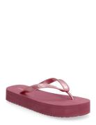 Flatform Flip Flop Met Tpu Pink Calvin Klein