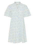 Ihqwin Dr4 Blue ICHI