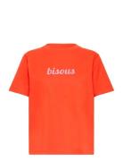 Ihlomoni Ss Orange ICHI