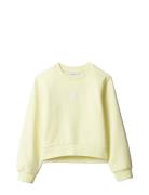 Ck Crewneck Sweatshirt Yellow Calvin Klein