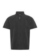 Polo Regular Black Replay
