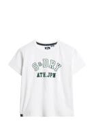 Athletic Graphic Fitted Tshirt Cream Superdry