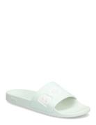 Aryeh_Slid_Npvlg Blue BOSS