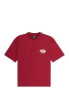 Mercury Worldwide Ss Tee Yth Burgundy Quiksilver