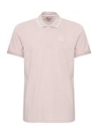 Bhnate Polo Noos Pink Blend