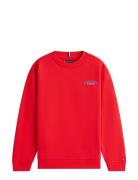 Monotype Graphic Sweatshirt Red Tommy Hilfiger