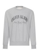 Ls Premium Terry Calvin Collegia Grey Calvin Klein Jeans