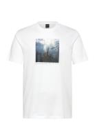 Te_Creature White BOSS