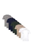 Dp 10 Pack T-Shirt Patterned Denim Project